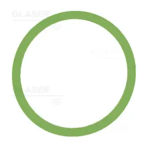 X59876-01 GLASER