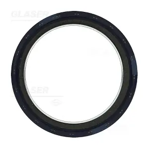 P77768-01 GLASER