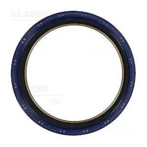 P77730-01 GLASER