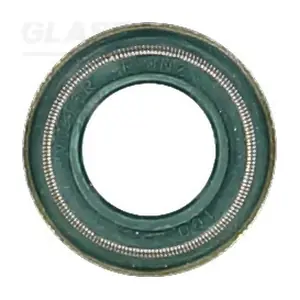 P76602-00 GLASER