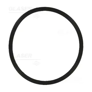 W88299-01 GLASER
