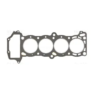 H80975-00 GLASER