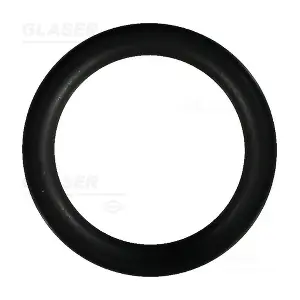 GLASER W88317-01