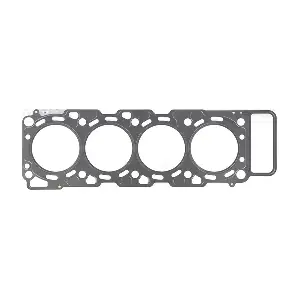 H40556-00 GLASER