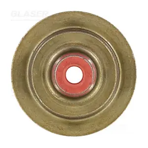 P76813-00 GLASER