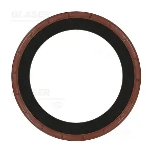 P76441-01 GLASER