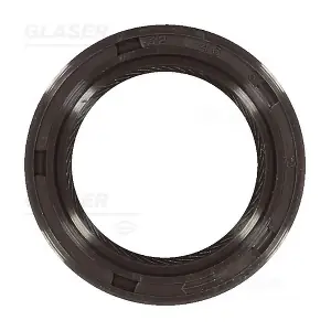 P77580-01 GLASER