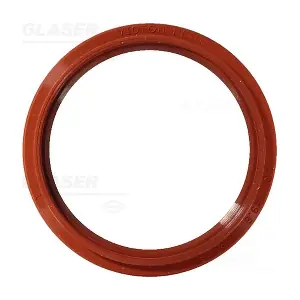 P76113-01 GLASER