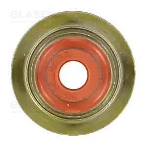 P76702-00 GLASER