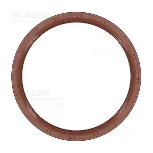 P77775-01 GLASER