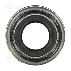 P76596-00 GLASER