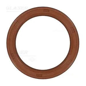 P77554-01 GLASER