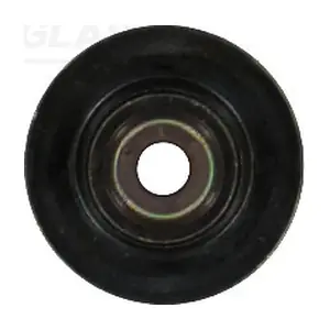 P93927-00 GLASER