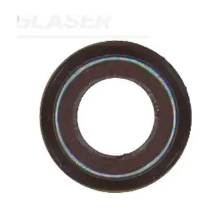 P77753-00 GLASER