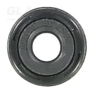 GLASER P76879-00