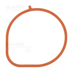 X89118-01 GLASER