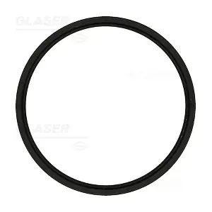 P77761-01 GLASER
