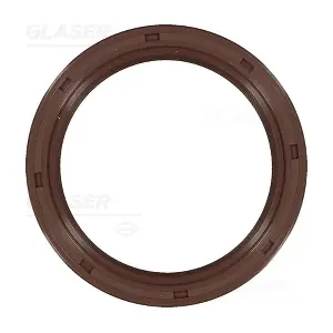 P77829-01 GLASER
