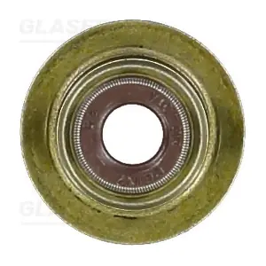 P76842-00 GLASER