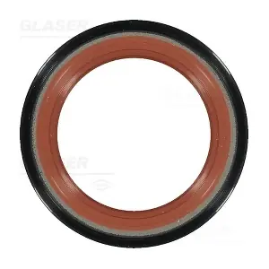 GLASER P77424-01