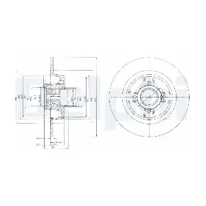 DELPHI BG9029RSC