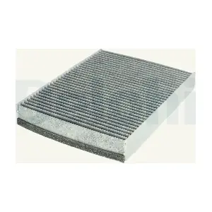 DELPHI KF10020C