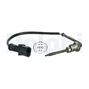 TS30011 DELPHI