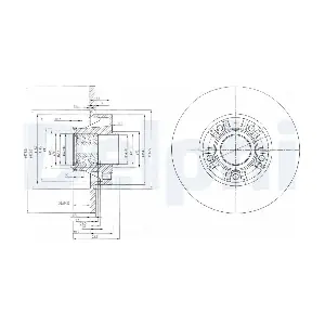 DELPHI BG9031RSC
