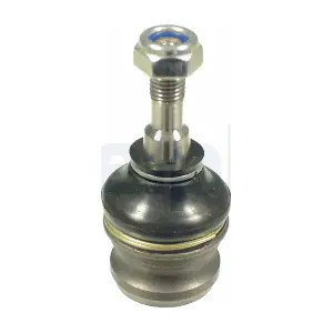 TC1087 DELPHI