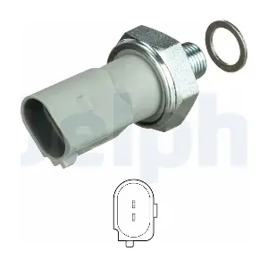 DELPHI SW90060
