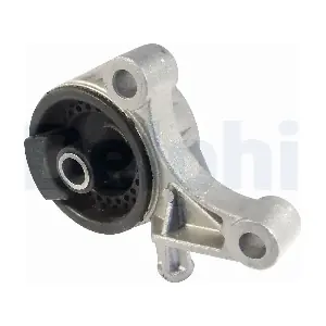 DELPHI TEM006