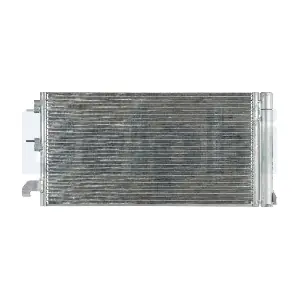 CF20273 DELPHI
