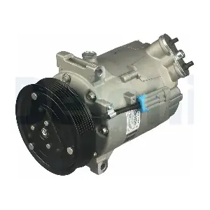 DELPHI CS20302