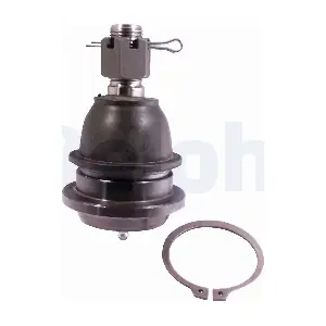 TC2181 DELPHI
