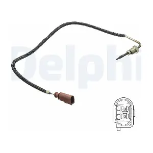 TS30173 DELPHI