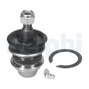 TC311 DELPHI