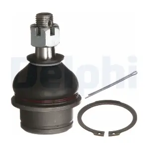 TC5549 DELPHI