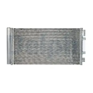 DELPHI CF20219