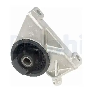 DELPHI TEM010