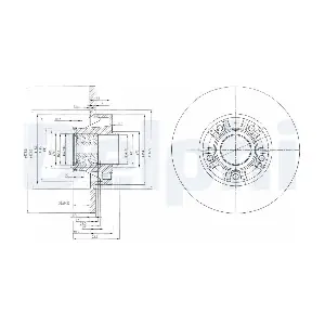 DELPHI BG9031RS