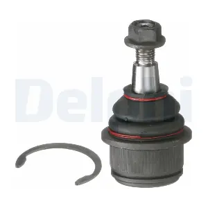 TC6004 DELPHI