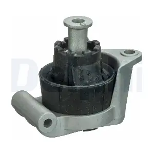 TEM091 DELPHI
