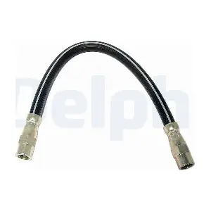 DELPHI LH0596
