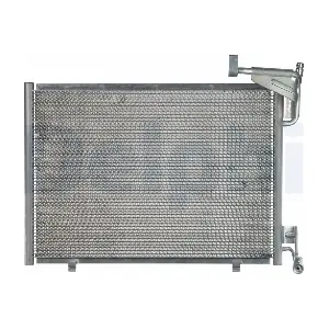 CF20243 DELPHI