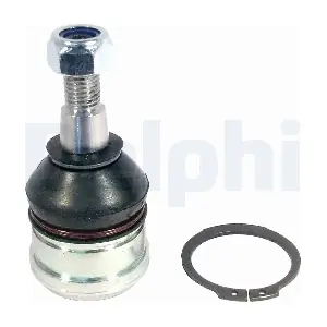 TC2406 DELPHI