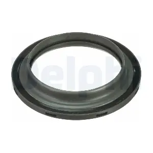 BSJ30019 DELPHI