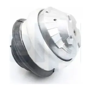 DELPHI TEM168