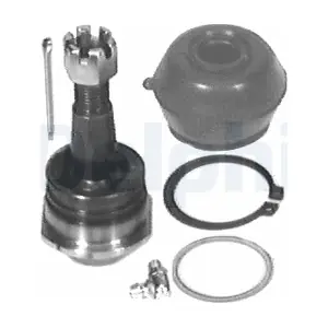 TC319 DELPHI
