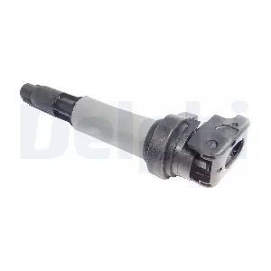 DELPHI GN1021012B1