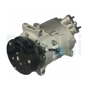DELPHI CS20305